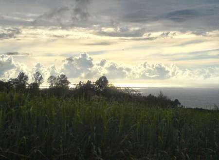 Je recherche une malbaraise