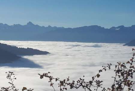 jeune homme agée de 24ans