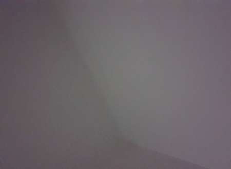 Roses Pour Femme reel