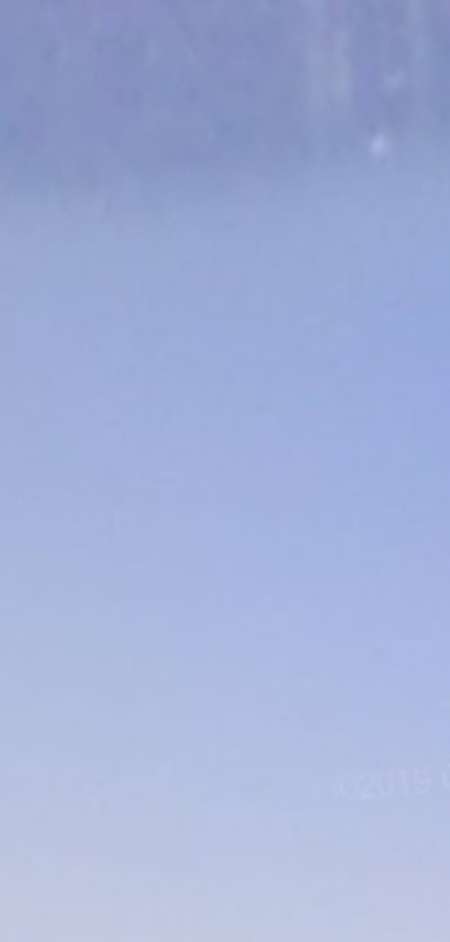 350 roses pour une nuit avec 1femme 20a32ans maxi