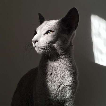 homme cherche une femme