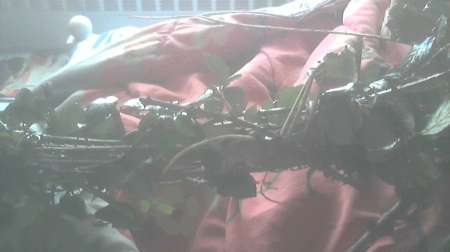 qui vient me fouetter sans limites