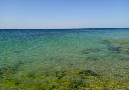 Propose cunni Pour tout âge