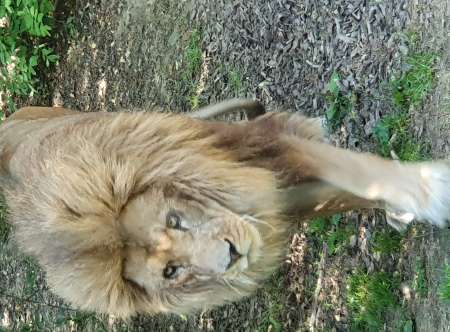 Cherche plan cul sans prise de tête