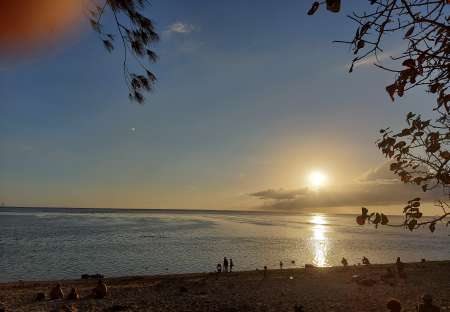 recherche trav ou trans