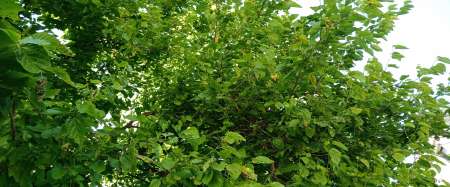 Homme mur cherche femme mure ou couple mur