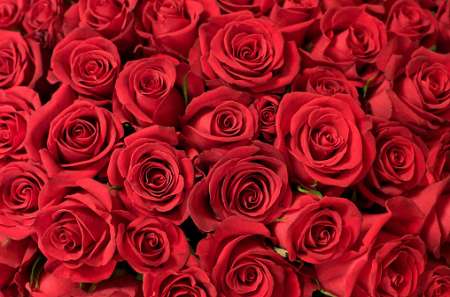 Couple prêt à prendre un nouveau moneyslave