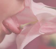 Lecheur polyvalent et discret