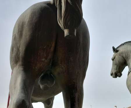 Pour femme 55-70 ans tf poitrine