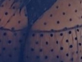 Massage naturistes hétéros