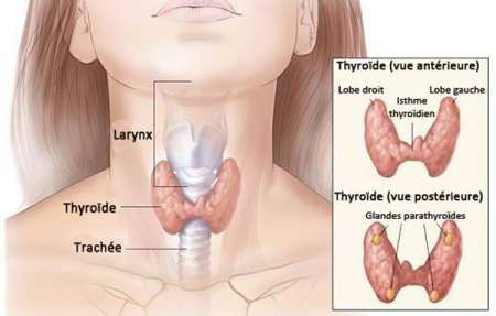 devenir acteur du film xxx