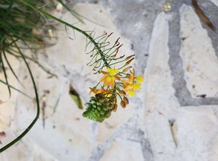 Offre ma bouche à femme pour votre jouissance
