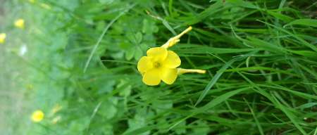 N'hésitez pas à m'envoyer un mail aller