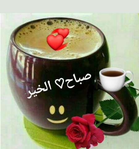 Homme de 50 ans cherche des femmes pour s'amuser