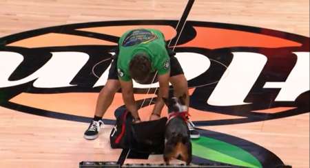 otganise partouze/gang bang