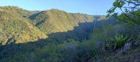 JH CHERCHE F MÂTURE