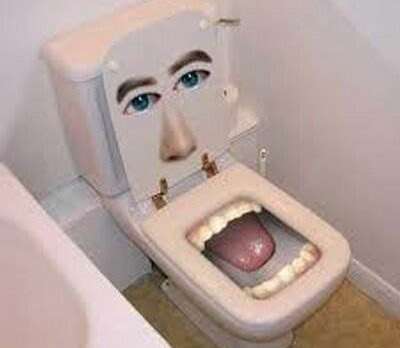 Logement confortable pour femme chiante