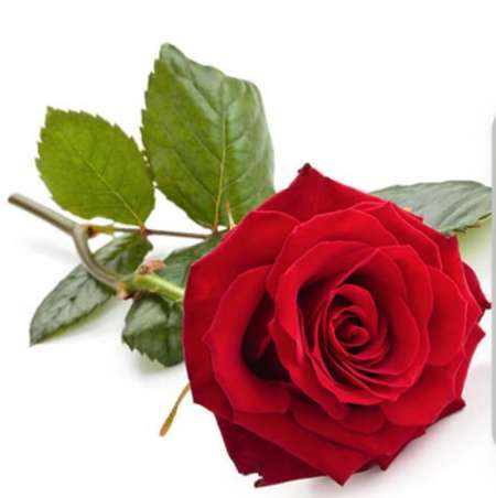 RENCONTRE UNIQUE SOIREE DÉTENTE