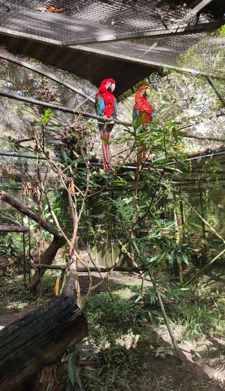 Homme disponible pour plan , si affinités minimum