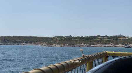 Désir, partage, découverte