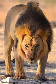 Cherche métro entre 18 et 30ans