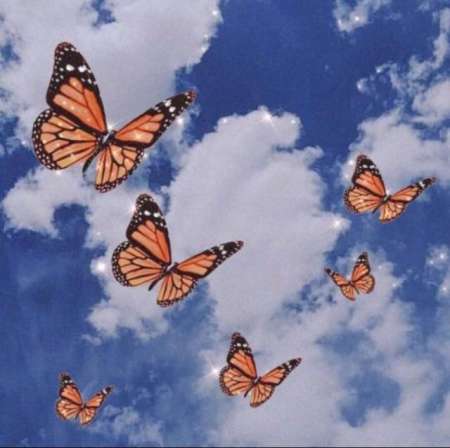  BELLE SENSUELLE FEMME SEXY