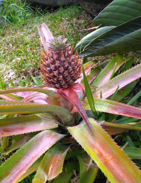 Redécouvrir les plaisirs physiques