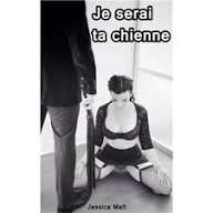 une chienne en chaleur