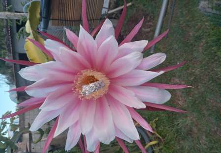 Homme cherche jf ou f pour relation sérieuse