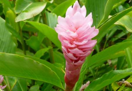  rech massages gay, tout est permis,suis tres gourm