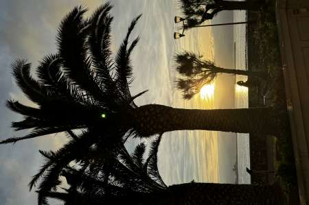 Cherche étudiantes sympa