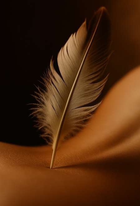 Connivence à Fleur de Peau