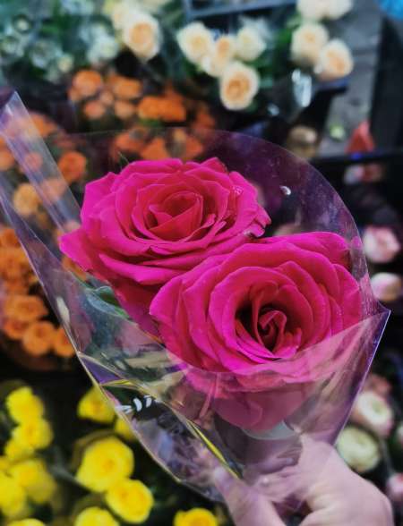 Envie de jouer, viens me retrouver !!!