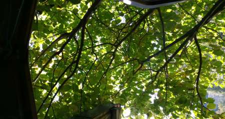 Bon lecheur pour dame