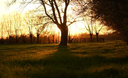 Pour femme coquine...