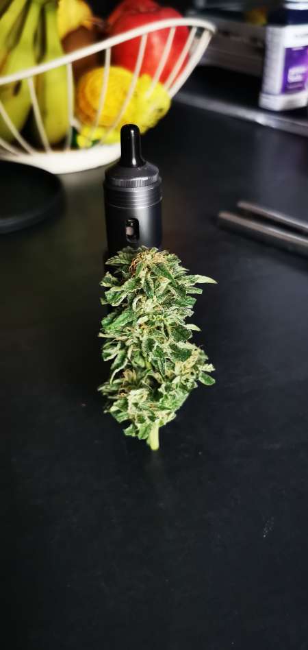 Rencontre coquine & Weed