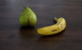 pour le plaisir des sens ,dans tous les sens