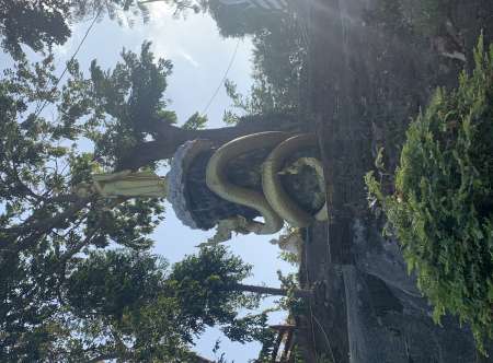 Rencontre femme délaissée ou en manque