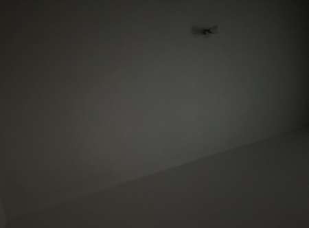 Gentlemen a votre service