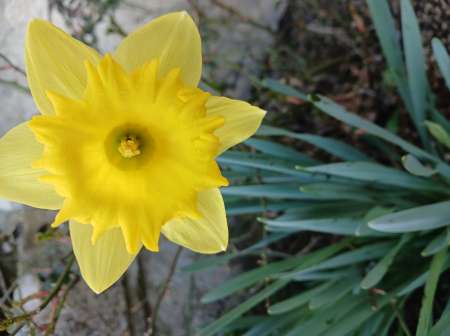 Vos orifices déguster en profondeur