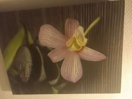 Massages detente complete centre ville