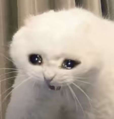 Cherche une meuf pour nude snap gratuit