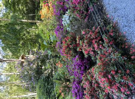 Femme bien dans sa tête