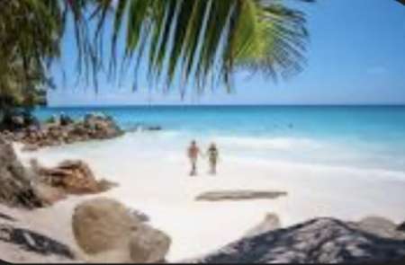 F ch h organisateur pluralité