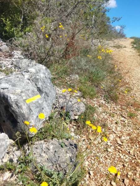 rencontre discrète avec femme mature